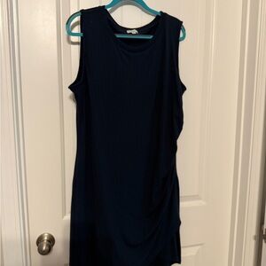 Elegant Navy Sleeveless Dress